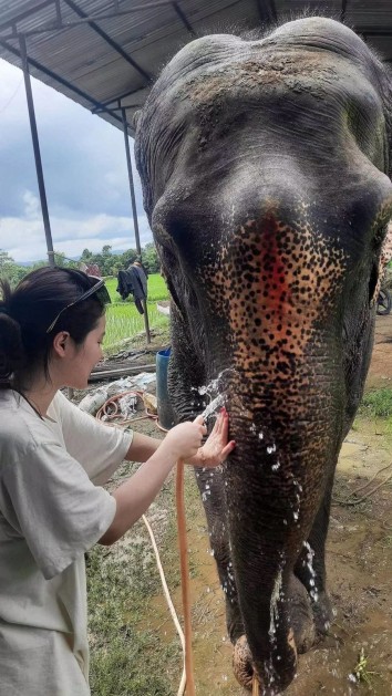 Animal Care and Wildlife